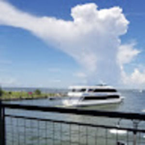 Meet your Posher, Nercy